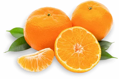 naranjas alpujarra orgánicos